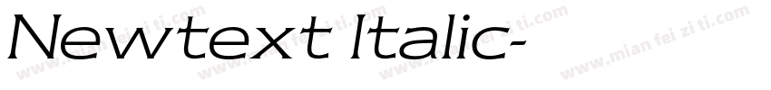 Newtext Italic字体转换